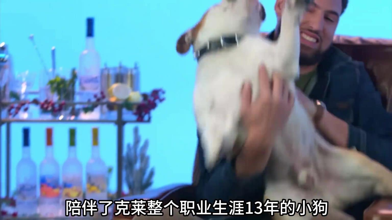 陪伴克萊13年的小狗去世了，不敢相信克萊得多么傷心